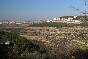 Surrounded by settlements, this open land is to be confiscated by Israel.