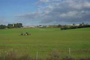 The green fields of Israel (Photo by Bob Haynes)