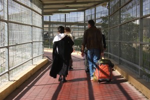 The medical delegation on the long walk into Gaza (Photo by Bob Haynes)