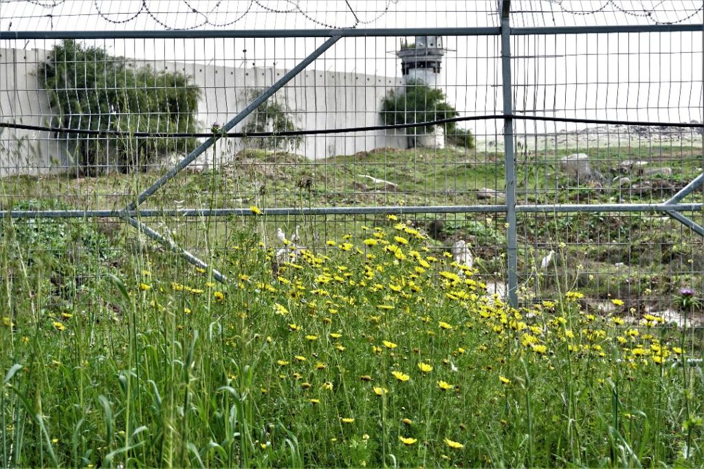 The fence leading into Gaza